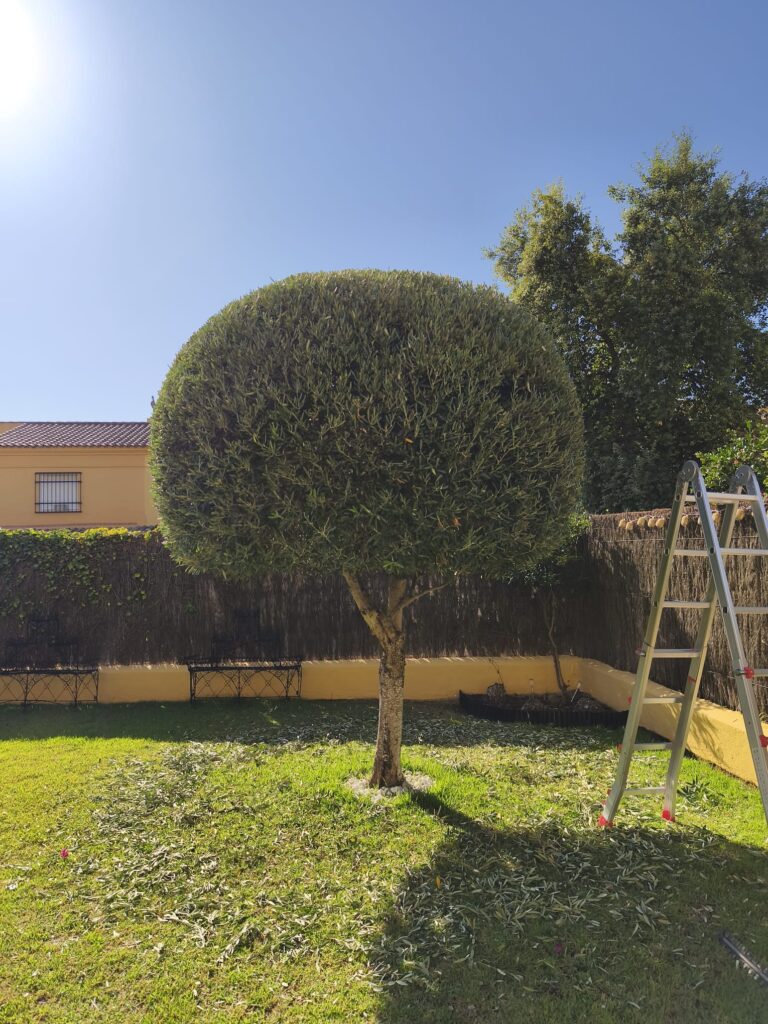 Whatsapp Image 2025 08 04 At 18.22.09 (1)